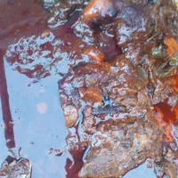 به یک آقا یا خانم جهت کار در غذای خانگی نیازمندیم|استخدام خدمات فروشگاه و رستوران|چابهار, |دیوار