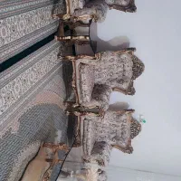 مبل سلطنتی 9نفره باعسلی|مبلمان خانگی و میز عسلی|بروجرد, |دیوار