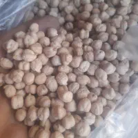 لوبیا چیتی ۳۳۰|خوردنی و آشامیدنی|پاکدشت, حصار امیر|دیوار