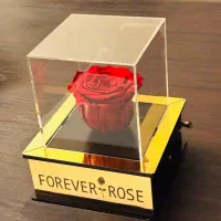 کادو رز جاودان با قاب موزیکال