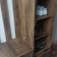 جاکفشی ایستاده