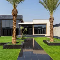 ارسال نخل‌های تنه دار و نهال نخل به کل ایران