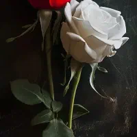 نیازمند کار درمنزل خودم