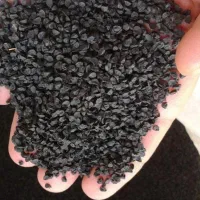 بذر پیاز قرمز