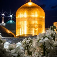 «آژانس هجرت همراه شما تا انتهای سفر»/