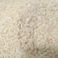 برنج کامفیروزی|خوردنی و آشامیدنی|شیراز, دروازه قران|دیوار