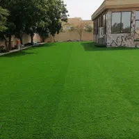 پخش عمده و خرده چمن مصنوعی با سه شعبه فعال|مصالح و تجهیزات ساختمان|کرج, کمال‌شهر|دیوار