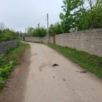 چندین مسکونی باغ جاده ماسال گورابزرمیخ مبین بالو|فروش زمین و ملک کلنگی|گوراب زرمیخ, |دیوار