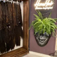 اجاره-لاین-ارایشی