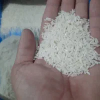 سردانه و نیم دانه هاشمی|خوردنی و آشامیدنی|اهر, |دیوار