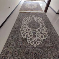 یک جفت اردکان 9 متری|فرش|اصفهان, سروستان|دیوار