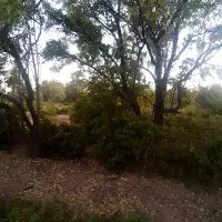 ۱۵۰۰ متر مربع زمین میمه به جوشقان چاه صاحب الزمان