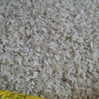برنج پاکستانی سرلاشه مارک توپ عالی باضمانت (10kg)|عمده‌فروشی|مشهد, رسالت|دیوار