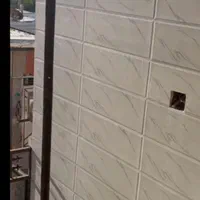 انجام صفرتاصدکارهای بنایی بامصاله بدون مصاله|خدمات پیشه و مهارت|چهاردانگه (تهران), |دیوار