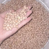 نخود با قیمت مناسب