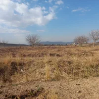 فروش-باغ-انگوری