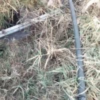 اجاره زمین کشاورزی به جاده اصلی زنجان نیک پی|اجارهٔ دفتر صنعتی، کشاورزی، تجاری|زنجانرود, |دیوار