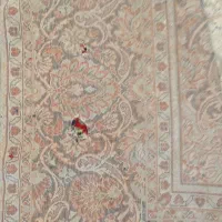 دوتخته فرش12متری|فرش|کوهپایه, |دیوار