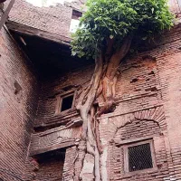 زمین-100متری-تجاری