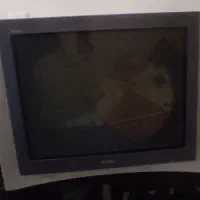 تلویزیون 29 اینچ|تلویزیون و پروژکتور|زاهدان, |دیوار