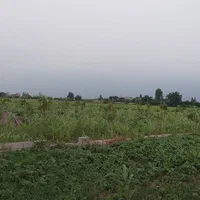 فروش زمین ۵۰۰ متری|فروش زمین و ملک کلنگی|زرگرشهر, |دیوار