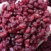 زرشک|خوردنی و آشامیدنی|قرچک, مهدیه|دیوار