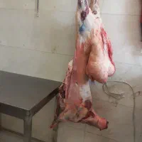 گوشت گوسفندی ۱۳۵۷تومان گوشت چرخی۱۴۹۵تومان