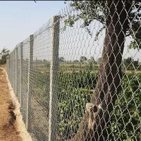 فنس کشی و حصار باغی|خدمات باغبانی و درختکاری|تاکستان, |دیوار