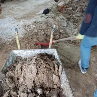 کود مرغی ۵ تن