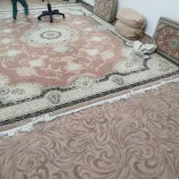 پالاز|موکت|بانه, |دیوار