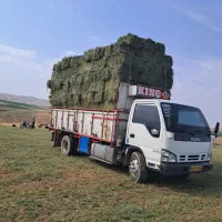 یونجه درجه یک|عمدهفروشی|زنجان, |دیوار