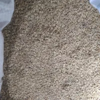 فروش گندم