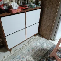 جا کفشی داشبوردی