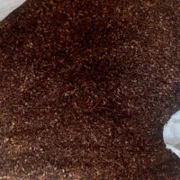 کنجد تمیز به شرط وخشک|خوردنی و آشامیدنی|حمیدیه, |دیوار