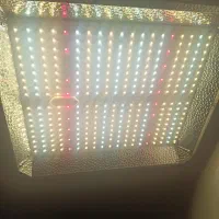 پنل led رشد