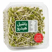 جوانه ماش یاشیل هیدرو