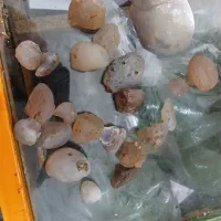 سنگ های قیمتی