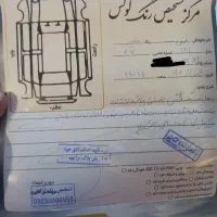 207 پانا|خودرو سواری و وانت|مشهد, امیر|دیوار