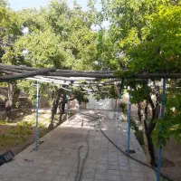 خانه باغ