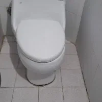 توالت فرنگی