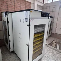 نمایندگی فروش دستگاه جوجه کشی هدایت|لوازم جانبی حیوانات|برازجان, |دیوار