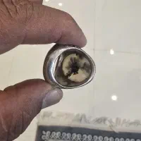 انگشتر شجر|بدلیجات|خمینیشهر, |دیوار