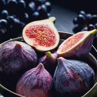 تولید نهال انجیر سیاه