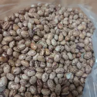 لوبیا قرمز و چیتی