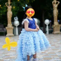 لباس مجلسی
