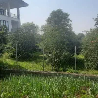 فروش ی قطعه زمین|فروش زمین و ملک کلنگی|شیرگاه, |دیوار