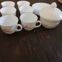 فنجان ارکوپال با قندان