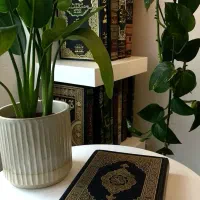 استخاره با تسبیح وقرآن وسرکتاب ۱۵۰ هزارتومان|خدمات پذیرایی، مراسم|بهبهان, |دیوار