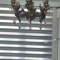 لوستر برنز