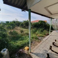 زمین و ویلا در بافت مسکونی|فروش خانه و ویلا|مرزیکلا, |دیوار